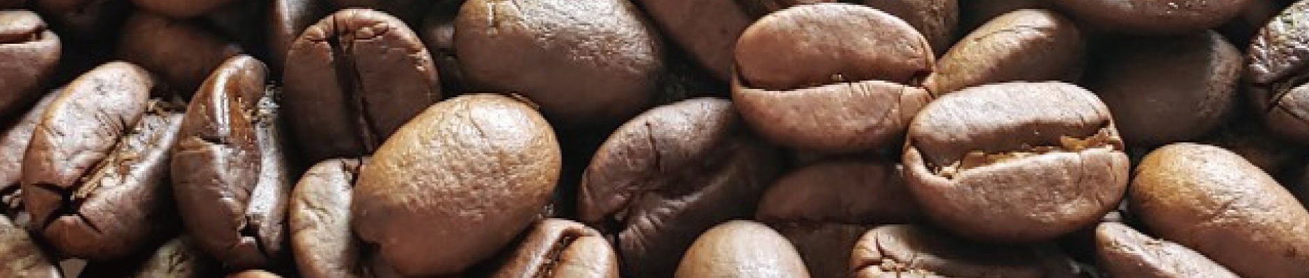 コーヒー焙煎生豆|コーヒー/珈琲