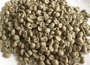 世界を旅するコーヒー　｜コロンビア産　タンザニア産　ミャンマー産　コーヒー生豆|コーヒー/珈琲